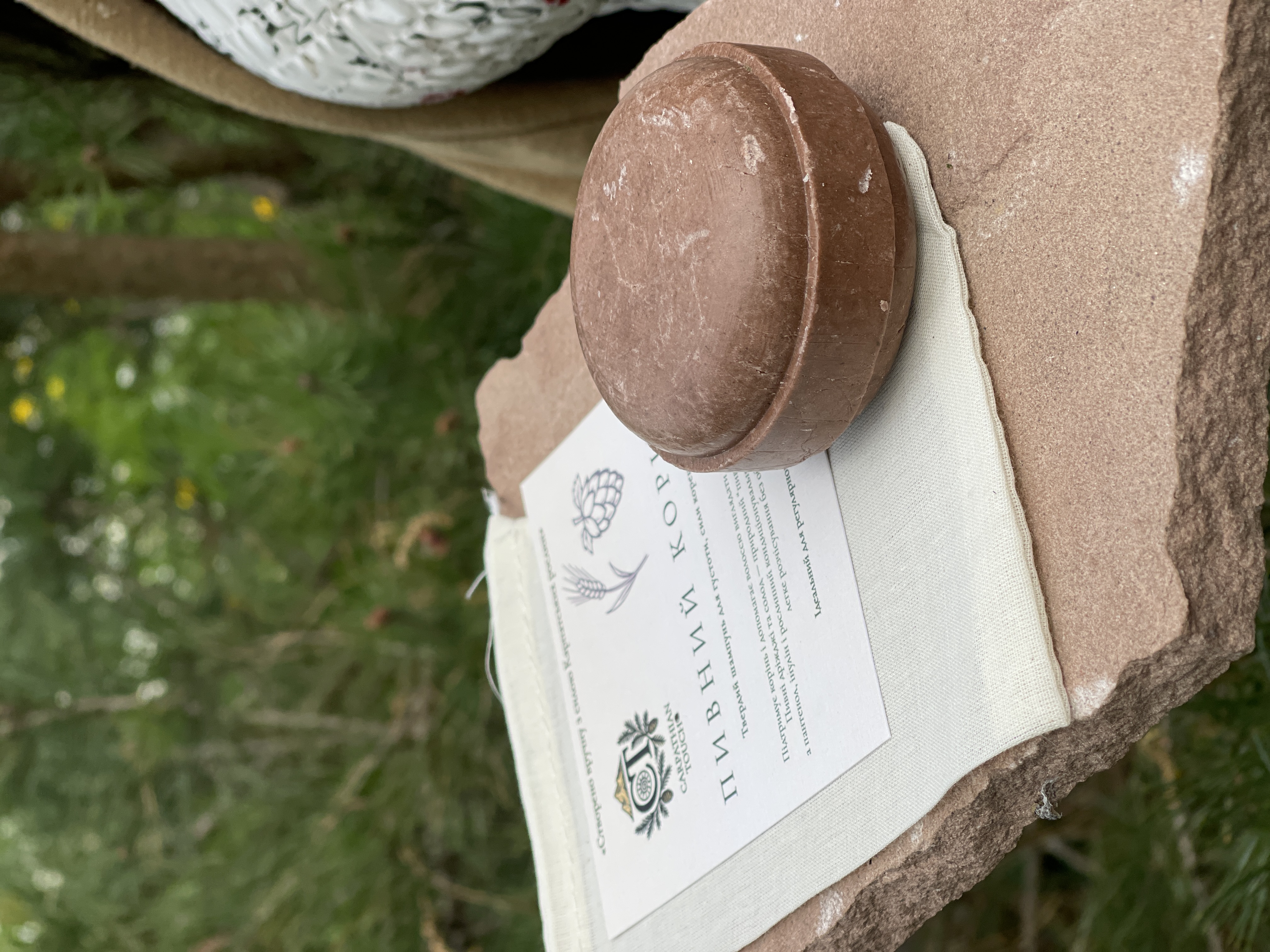 Пивний Корінь