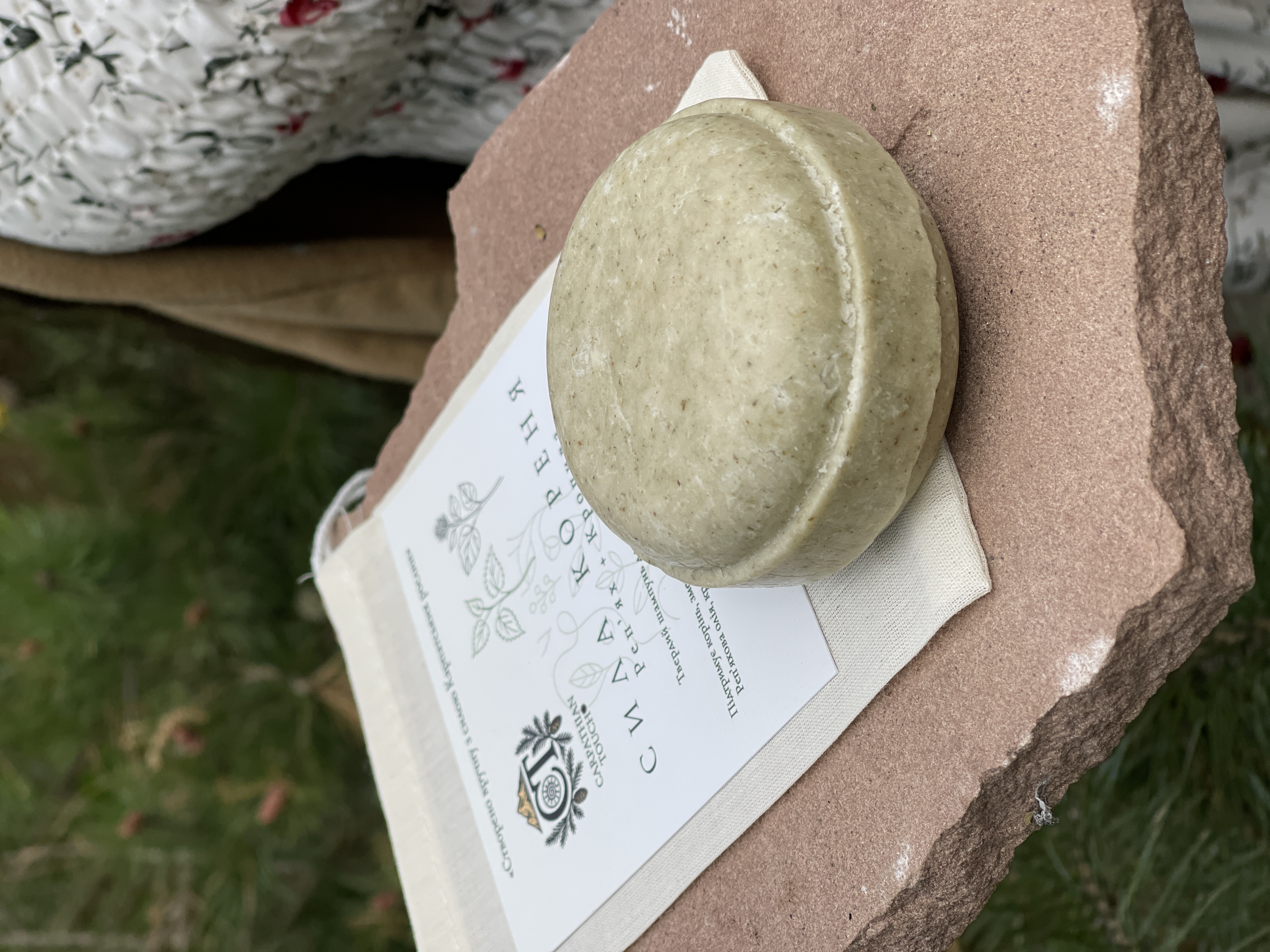 Сила Кореня